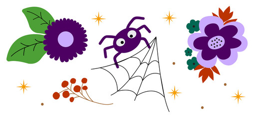 Set of nature elements for decoration. Flowers and leaves, a spider on a web of stars. Vector illustration in flat style.