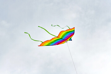 The kite soars in the air against the backdrop of large clouds in the sky.