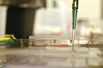 Close-up of pipette loading a sample into a gel