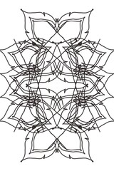 spider on white background