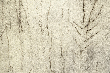 Old concrete wall background. Abstract grunge background