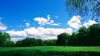 森の中でピクニック