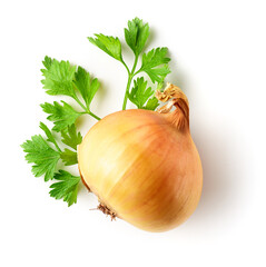 Parsley leaf and whole onion isolated on white, from above