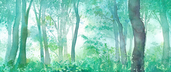 朝靄の森林の風景。水彩イラスト。背景。