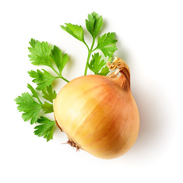 Parsley Leaf And Whole Onion Isolated On White, From Above