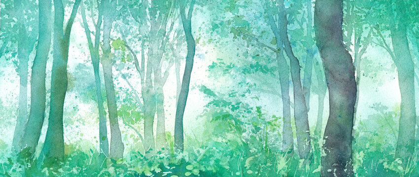 朝靄 Images Browse 5 069 Stock Photos Vectors And Video Adobe Stock
