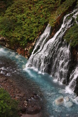 Naklejka na ściany i meble 北海道の風景。白髭の滝。滝が流れ落ちる美瑛川は水酸化アルミニウム等の微粒子が光を反射青い。