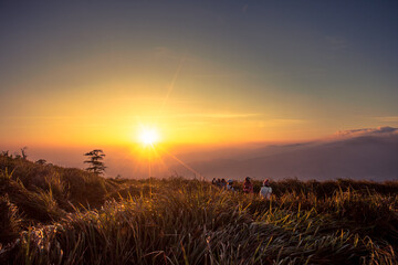 Beautiful foggy sunrise landscape.