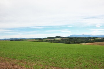 Fototapeta na wymiar 北海道の風景。かしわ公園からの眺め。広い草原が広がる北の大地