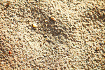 abstract sand background Texture beach