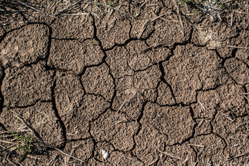 Texture cracked ground.