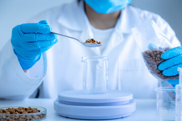Quality control personnel are weighing dry pet food for inspecting the quality. Physical quality inspection. Quality control process of pet food industry.