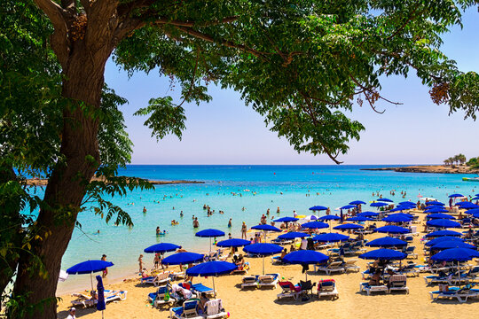 Cyprus, Protaras -24 June 2021. Tourists relax on the sandy beach of Fig Tree Bay. This beach is one of the best beaches in the world.