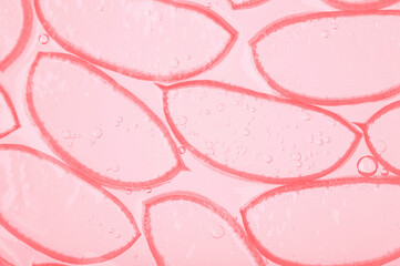 Aloe vera slice texture with gel on blue background.