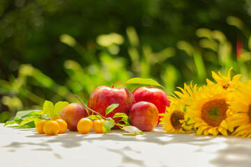 yellow flowers of sunflower, fresh apples and plums on a wooden table in the garden on a sunny day