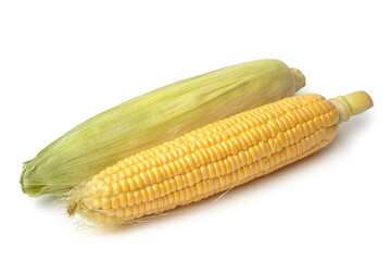 Ripe corn