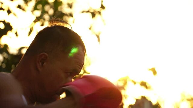 Boxers with boxing gloves are working hard to train