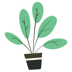 Vector illustration of a plant in a pot