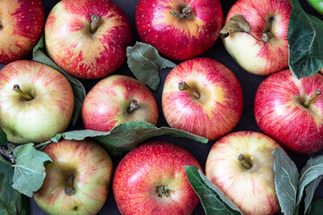 Wooden box of fresh apples  with leaves.