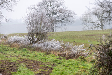 farmland on a frosty winter day