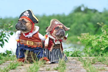 Pair of funny French Bulldog dogs dressed up with pirate and pirate bride costumes with hat, hook...