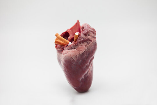 Pig hearts,Cigarettes do health stores.