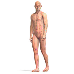 Eastern or Asian acupuncture and acupressure points on a male body