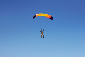 Flight of an experienced paratrooper with a professional parachute in the sky