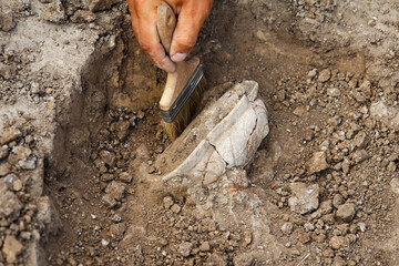 Archaeological excavations, archaeologists work, dig up an ancient clay artifact with special tools