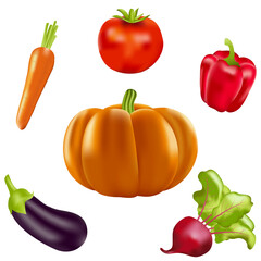 Realistic isolated colorful vegetables. Autumn harvesting from the vegetable garden