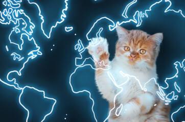 A ginger kitten presses its paw into the glowing outline of the world map.