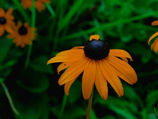 Schönheiten der Natur