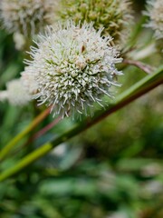 Schönheiten der Natur