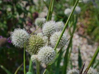 Schönheiten der Natur