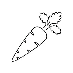 carrot icons symbol vector elements for infographic web