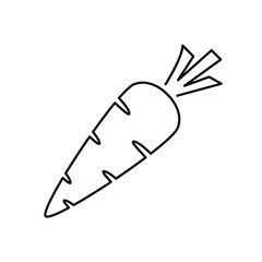 carrot icons symbol vector elements for infographic web