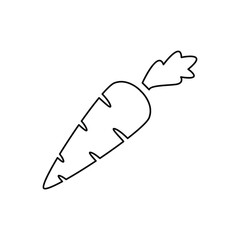 carrot icons symbol vector elements for infographic web