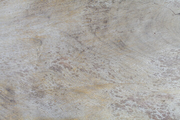 Soft gray textured wood is an abstract textured background.