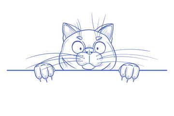 The cat is hanging on the wall. Element for design and banner. Linear sketch drawn by hand. Vectral illustration of a funny cat.