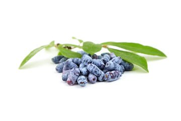 Honeyberry or Lonicera caerulea with green leaves isolated on white background