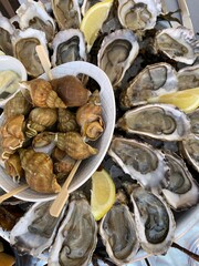 Plateau de fruit de mer 