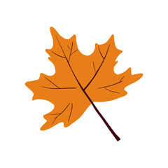 Hand drawn yellow maple leaf. Vector illustration for icon, logo, print, icon, card, emblem, label