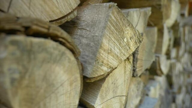 stack of firewood