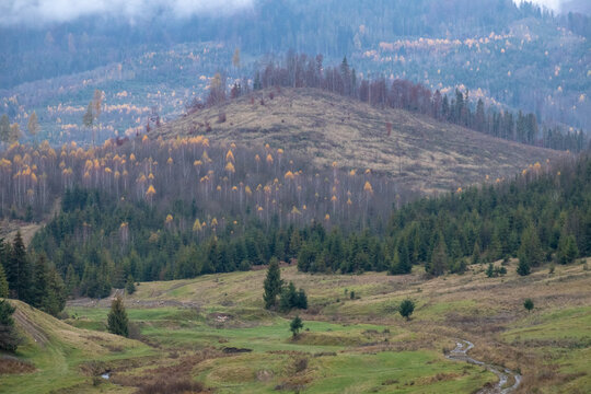 autumn in the mountains
