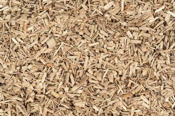 Oak chips sawdust texture. small wood chips for smoking. sawdust background. ecological fuel