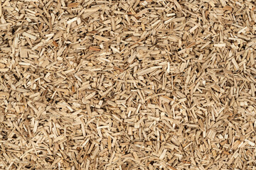 Oak chips sawdust texture. small wood chips for smoking. sawdust background. ecological fuel