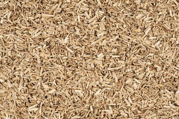 Oak chips sawdust texture. small wood chips for smoking. sawdust background. ecological fuel