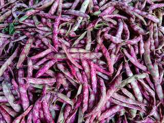 Merveille de Piemonte beans on the market