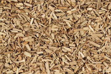 Oak chips sawdust texture. small wood chips for smoking. sawdust background. ecological fuel