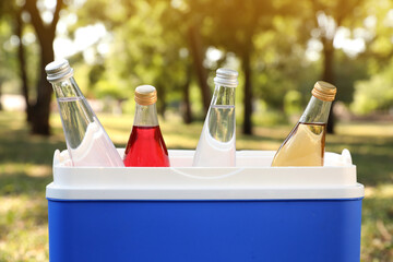 Blue plastic cool box with bottles of drinks in park, closeup